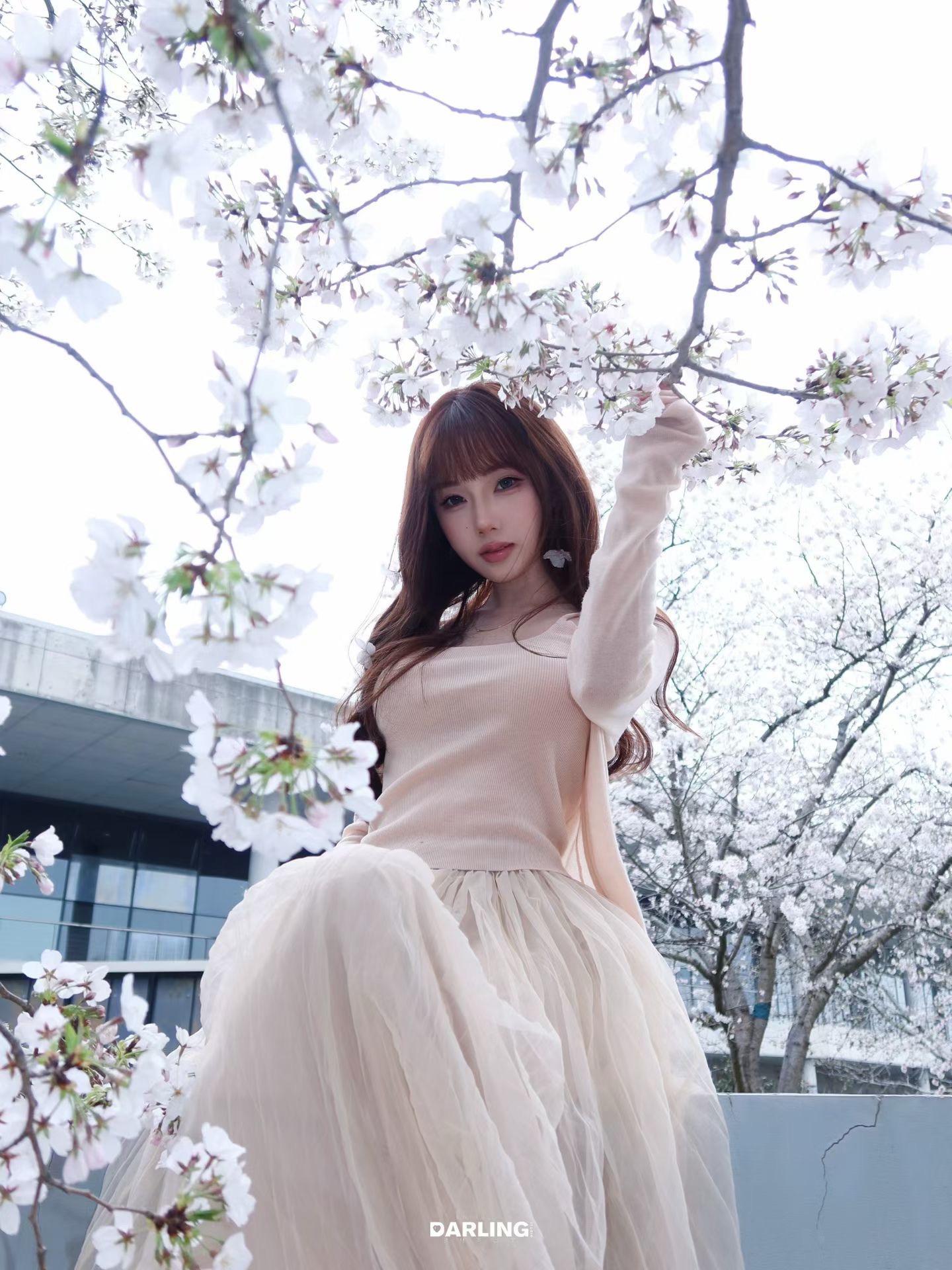 被染井吉野的温柔包裹🌸