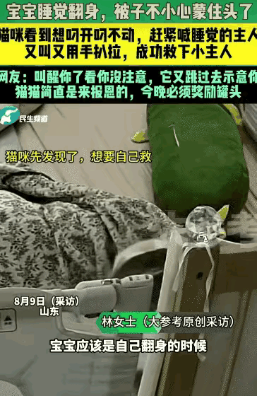 “万物皆有灵！”山东，一婴儿翻身时不慎被捂，熟睡的妈妈却浑然不觉。生死瞬间，家猫