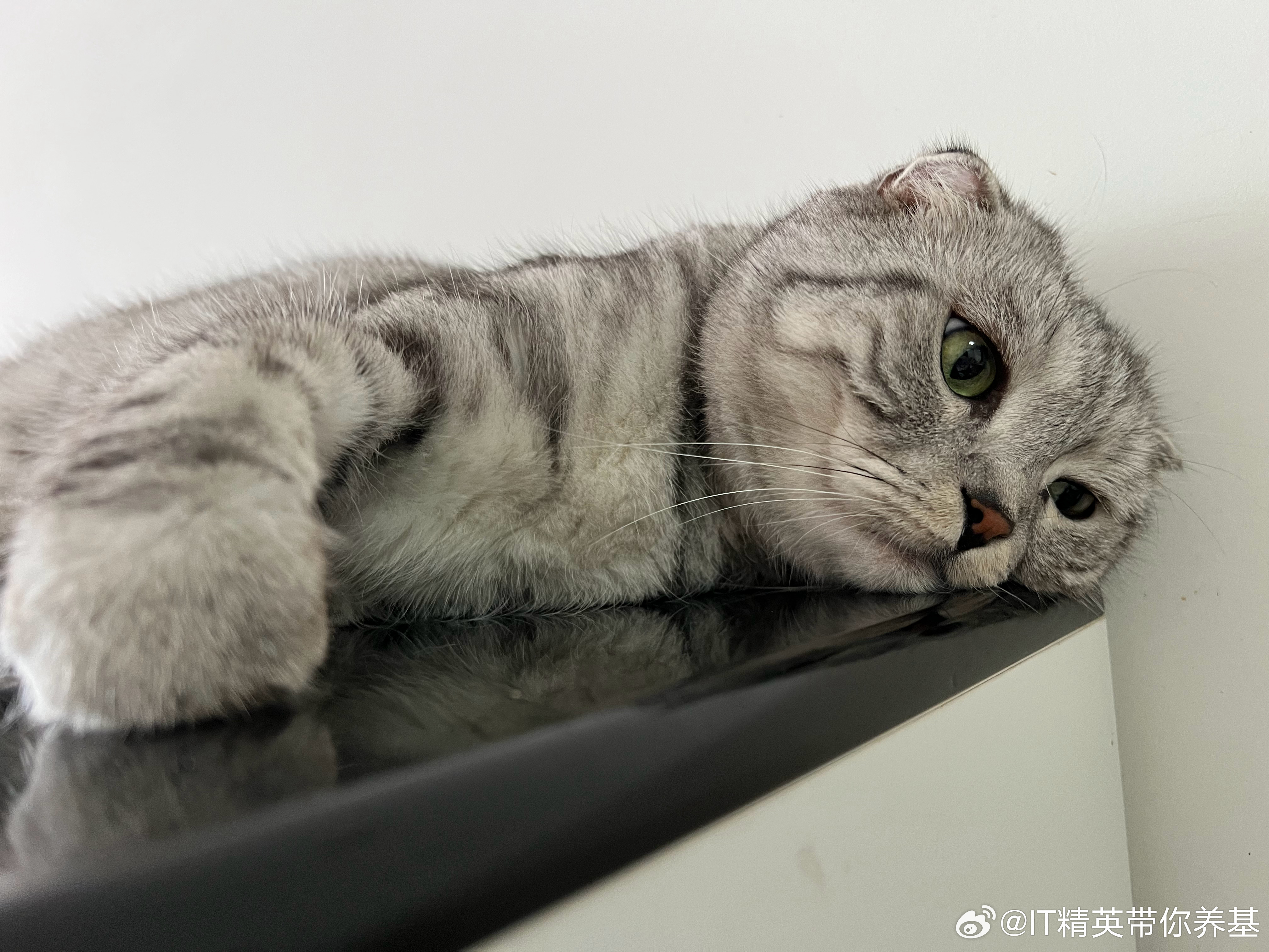早～假期最后一天了 北京