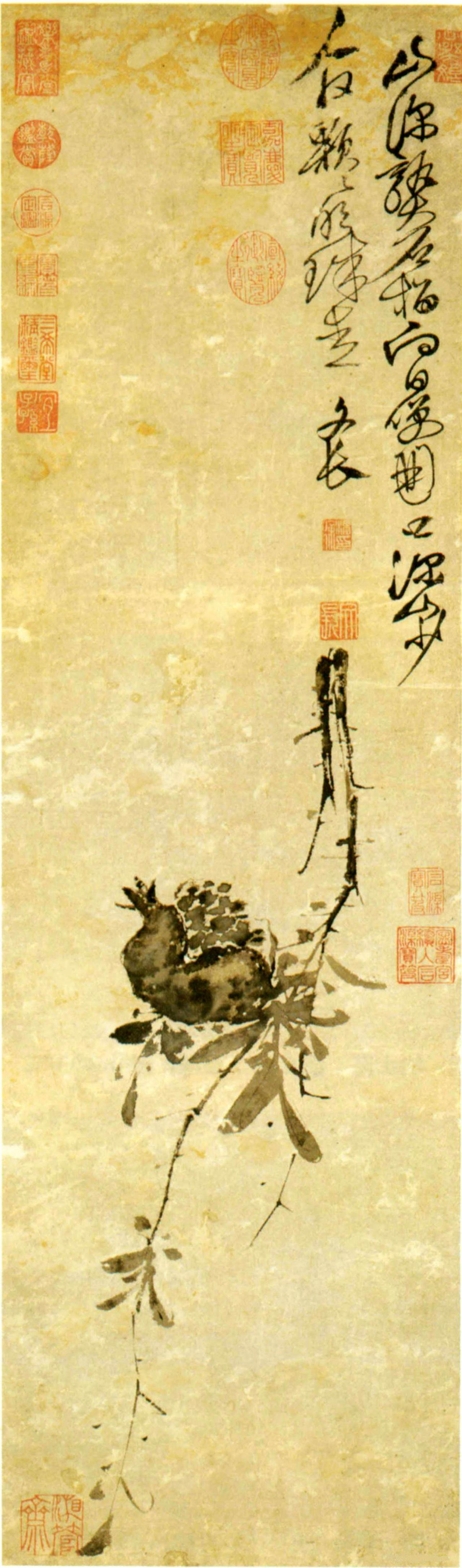 徐渭榴实图书法欣赏