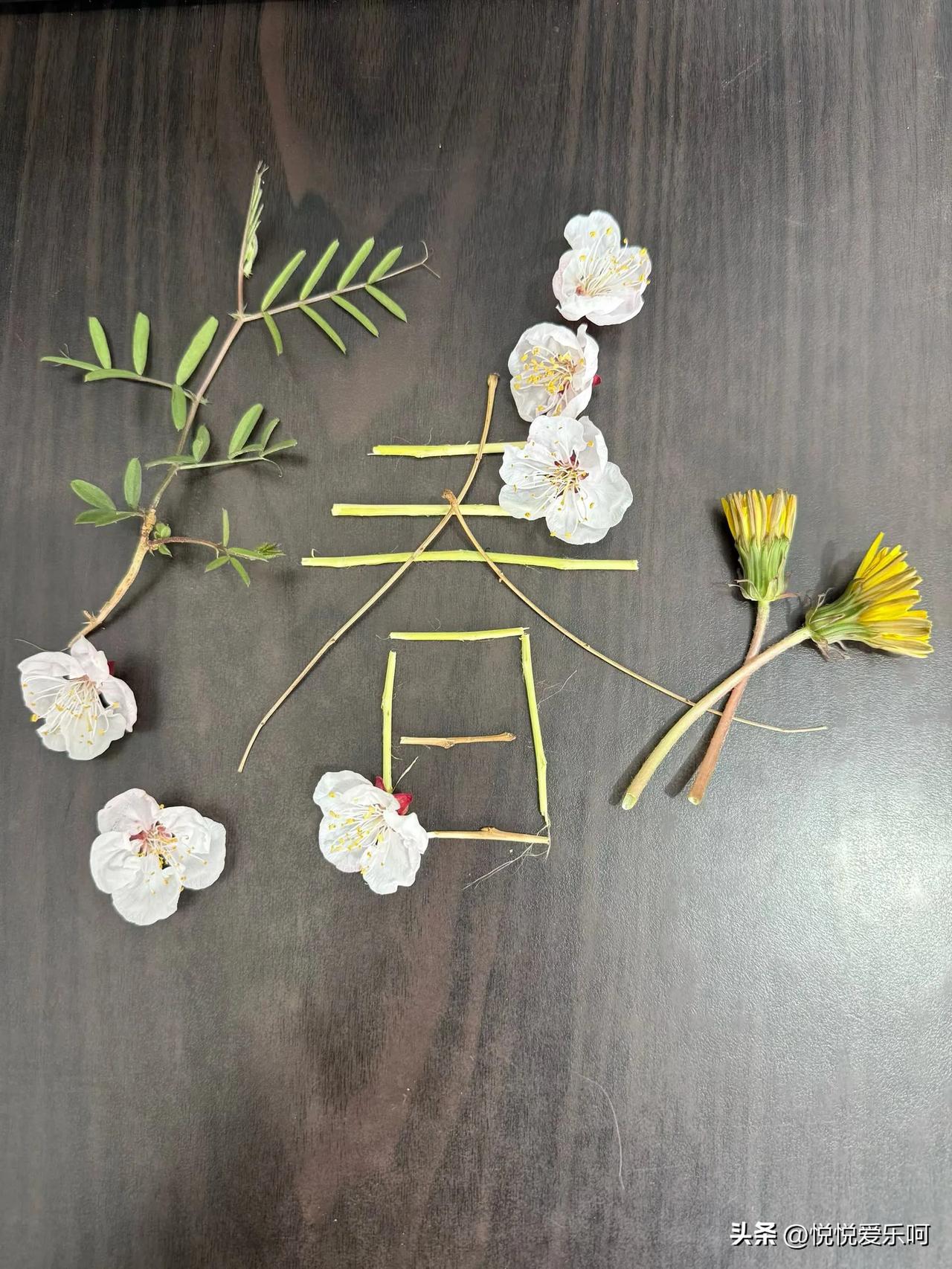 退休了，不跟风，按自己的想法生活。邻居见了老问我:怎么不出去旅旅游啥的。我说，嫌