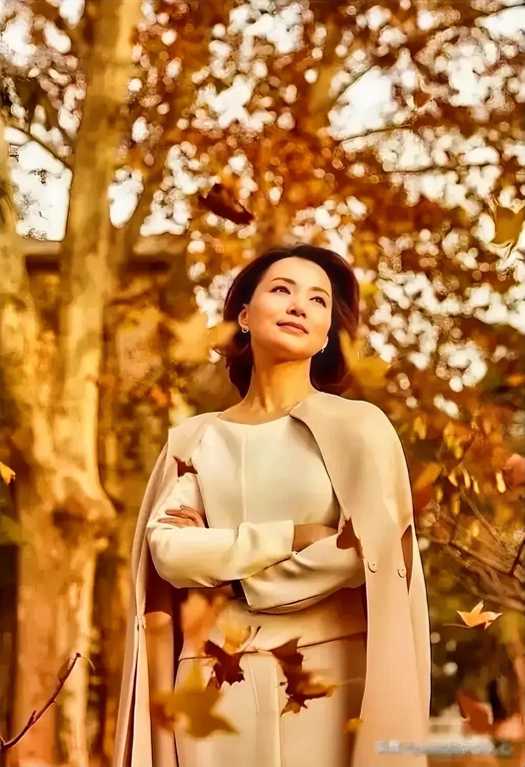 这是董卿处于最辉煌的时刻：事业有成，家庭圆满。