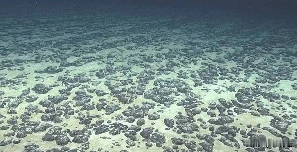 多年前就传言小日本从我国低价大量进口稀土，然后倒到自己的近海里，看来传言是真的，