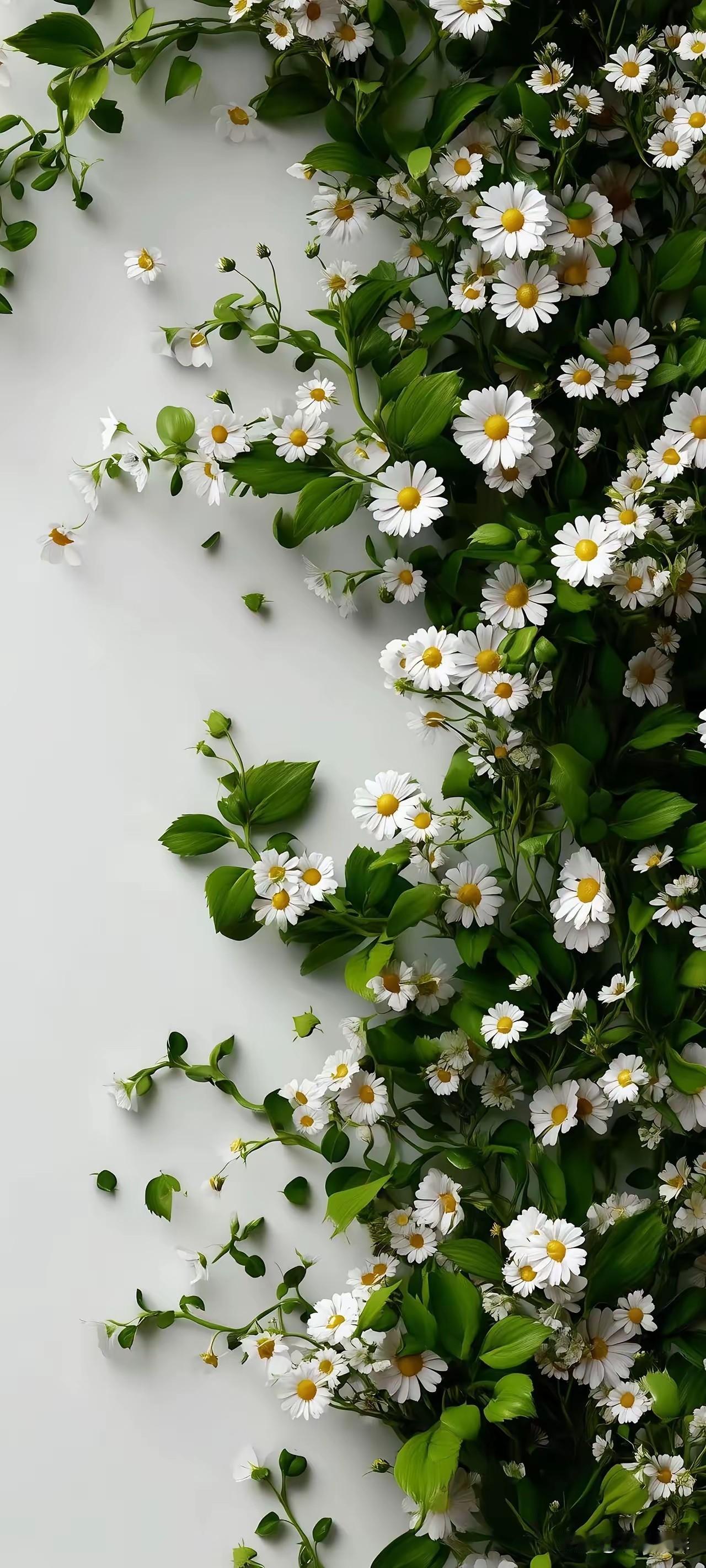 这个世界没有真相，只有视角。