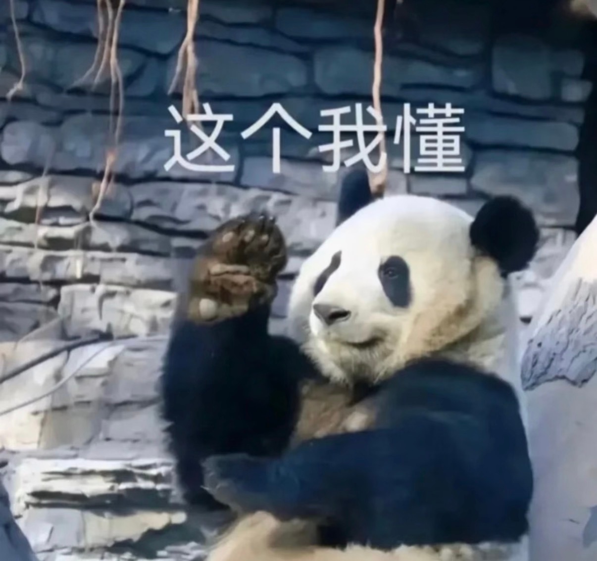 懂了，日本73岁没有养老金，不得不工作，咱们的工作环境也比日本好，福利待遇也比日