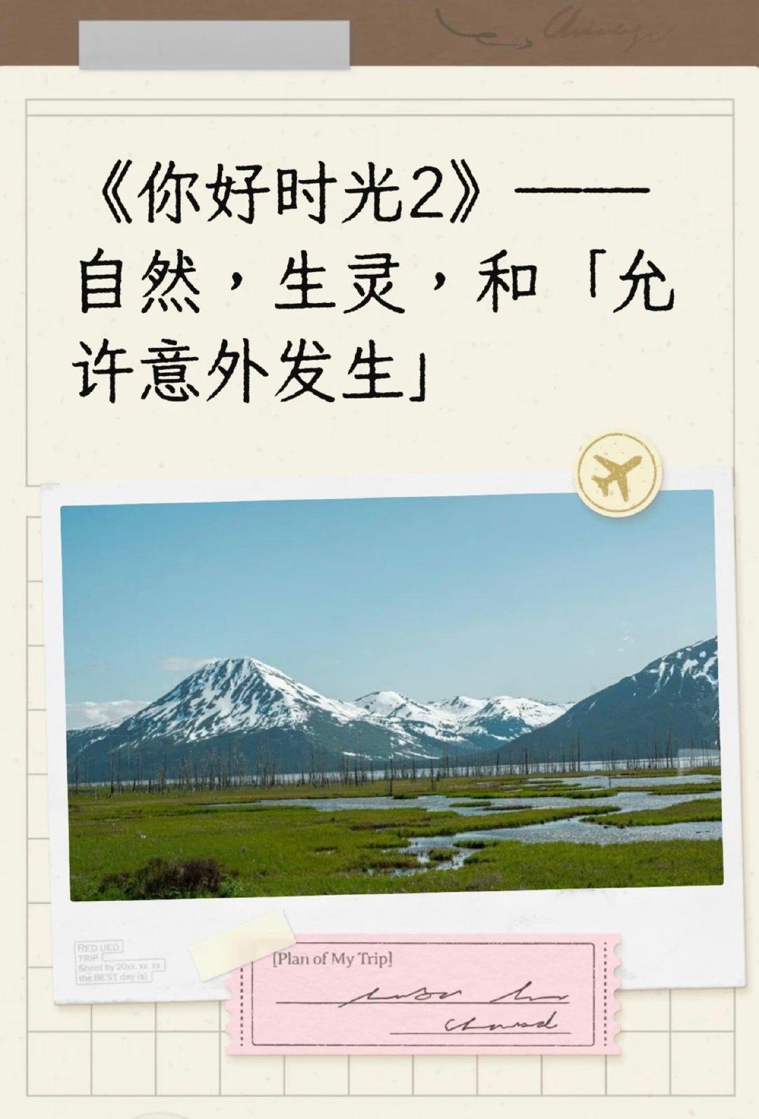 内娱最纯粹的旅综你好时光 谁能拒绝这样治愈的画面！顺应天意，在暴雨里牵手起舞，把