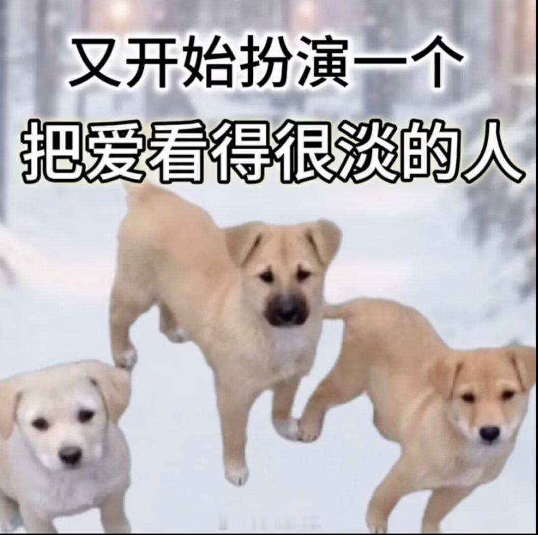 上海周边或者江浙沪地区有没有明日方舟佩佩可以租借啊啊啊想租一天 不用道具就假发衣