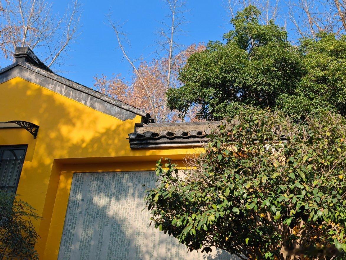 优酷回应南大碎尸案被害人家属发文 小说可以虚构剧情，但以真实案例进行无中生有的杜