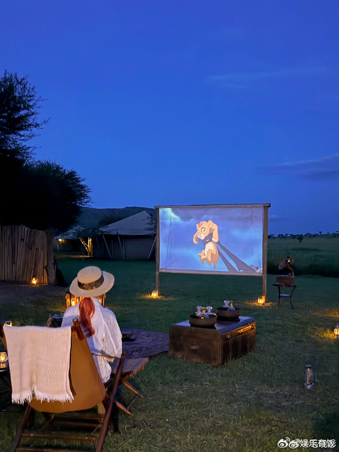 毛晓彤去了坦桑尼亚看狮子 坦桑尼亚“动物观察员”来啦！草原落日➕野生大猫，这组p