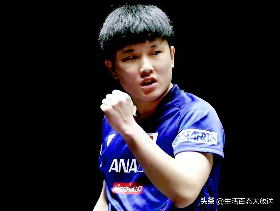 随着澳门赛落幕，诞生4个最大赢家，4个最大输家，张本+国乒上榜

1，🇸🇪莫