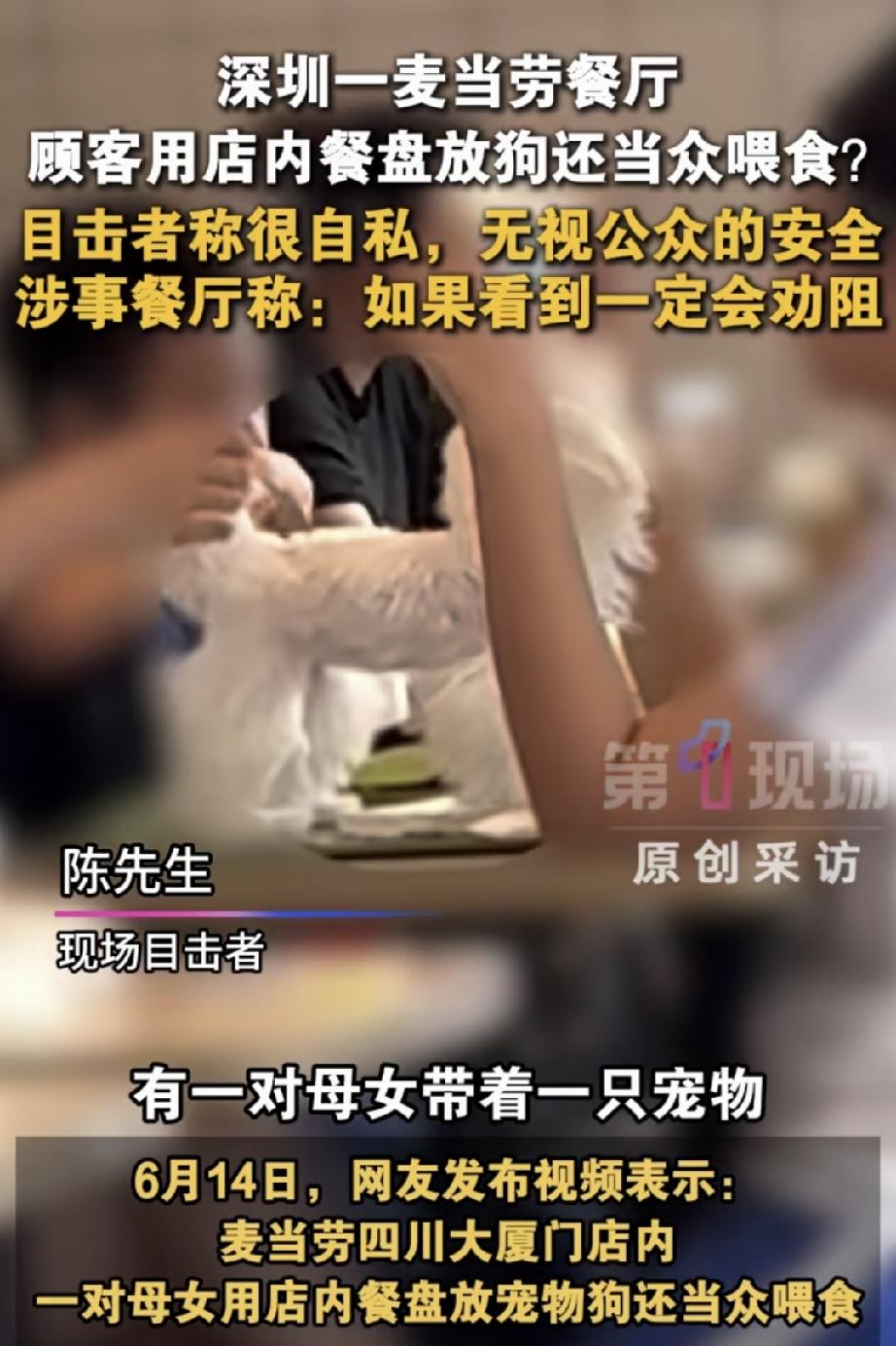 深圳四川大厦内的一家麦当劳店，一对母女带着宠物狗就餐，把宠物狗放在店内的餐盘内喂