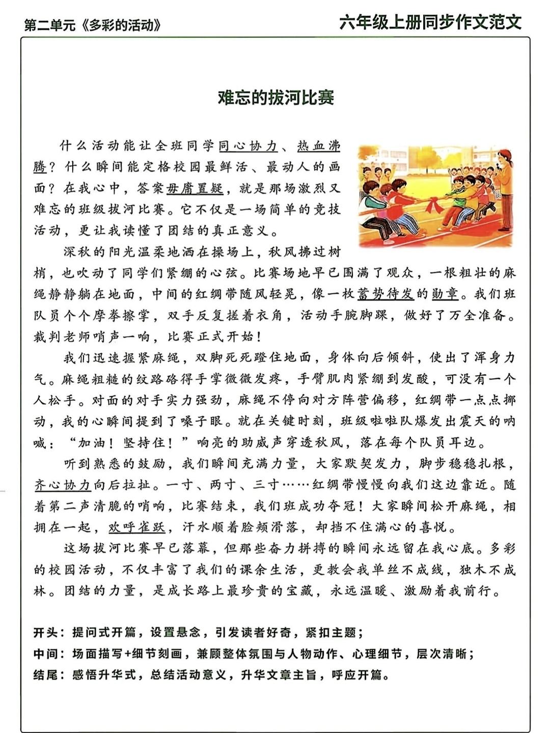 六年级上册语文，第二单元习作二《多彩的活动》精选范文5篇，收藏备用