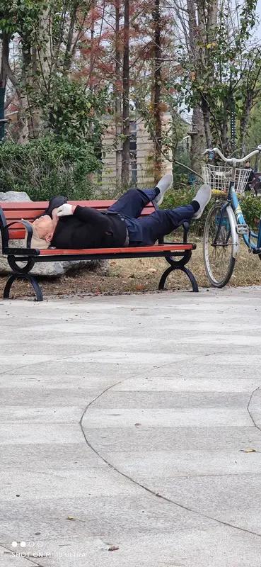 现在养猪真的太难了，散小户简直没活路。以前觉得养猪就是体力活，像农村老乡那样拎着