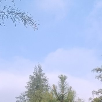 在市场上，绝大多数终其一生都在追逐技术指标和消息面，却始终无法实现稳定盈利。究其