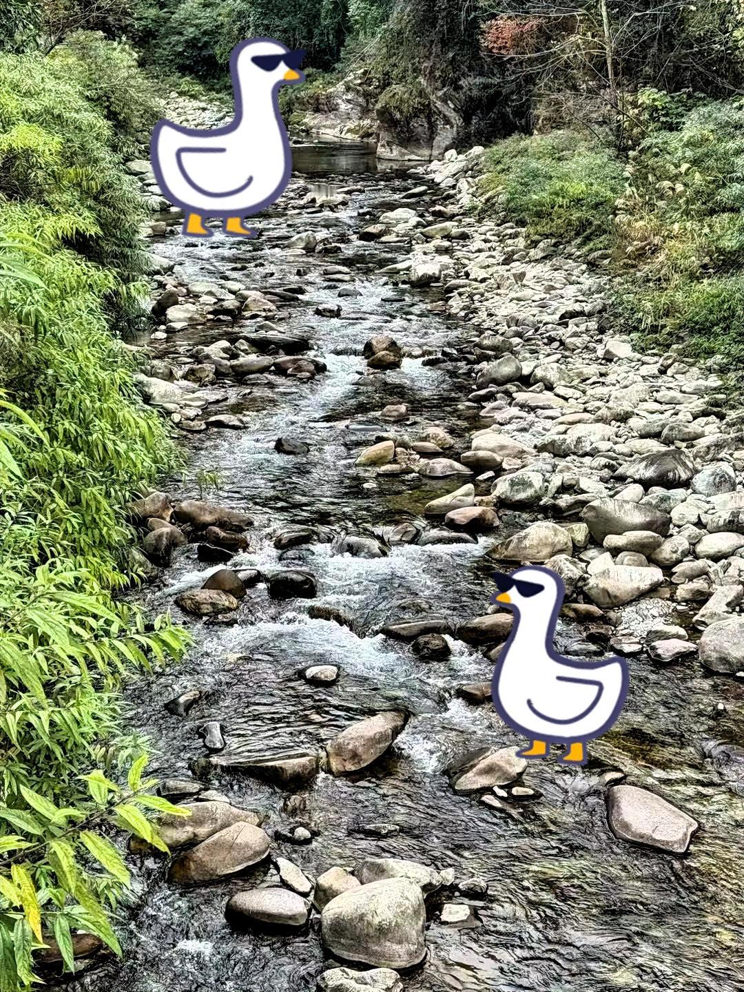 走在这儿，听着溪水撞在石头上哗哗响，心里头一下就静了。路边的草叶子绿得发亮，连风