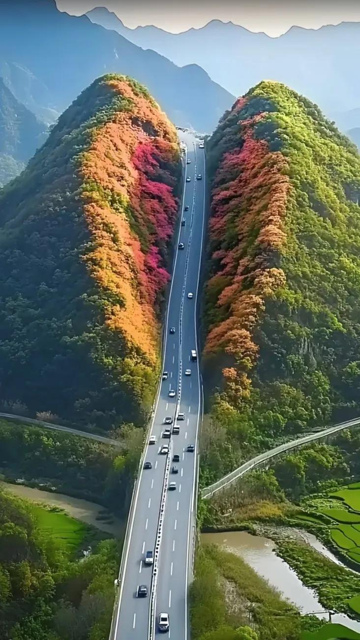 秋日公路，穿越五彩斑斓的山林！🍂🚗🌳一路的秋色 观赏路上的美景