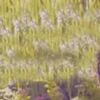 郭碧婷爸爸发文回应:为什么都是郭碧婷独自在照顾，谁有空就陪我 有时候三个一起去照