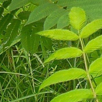 0000好像慢慢学会和自己的平凡和解了，不再执着于每天都要有轰轰烈烈的收获，也不
