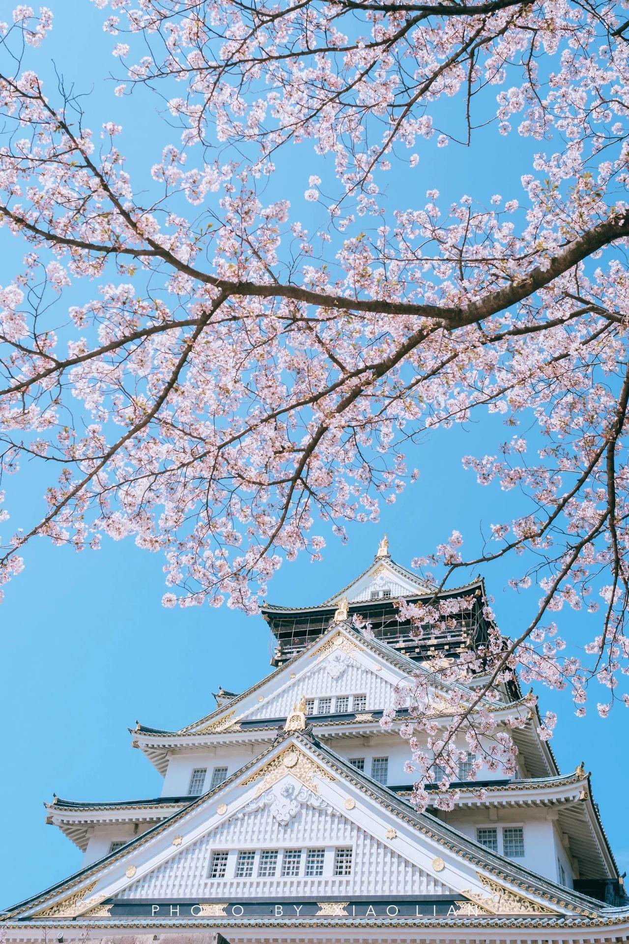 谁能想到，日本接连对华挑衅，各方议论纷纷，联合国秘书长却从头至尾一声不吭。

老