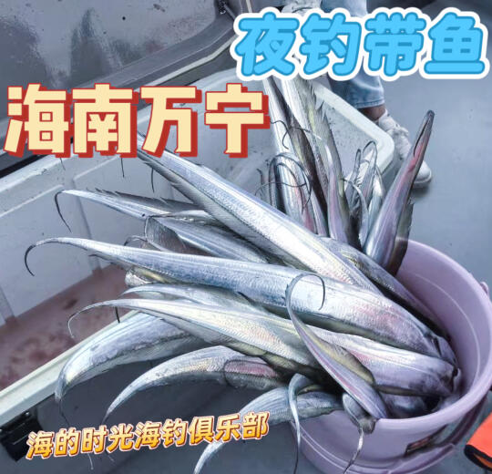 5月4号带鱼局还有位置