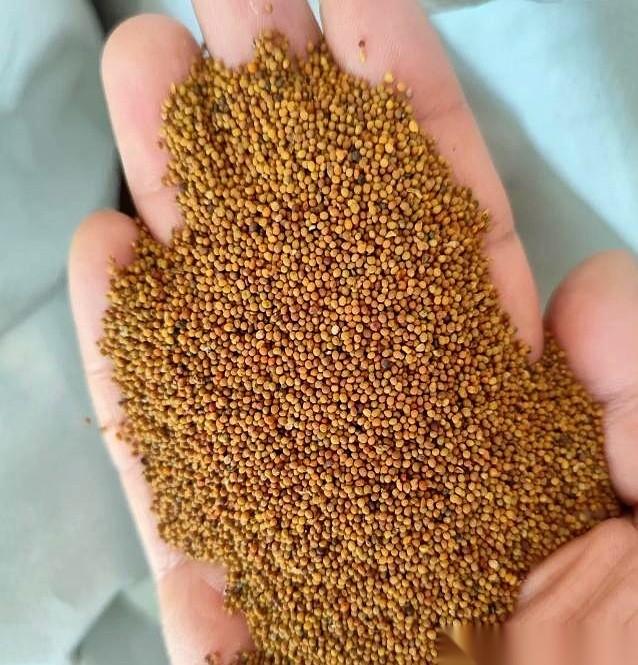 真的，有时候觉得男人挺可悲的。
尤其是在那件事上，不行了的时候。
最怕的不是一分