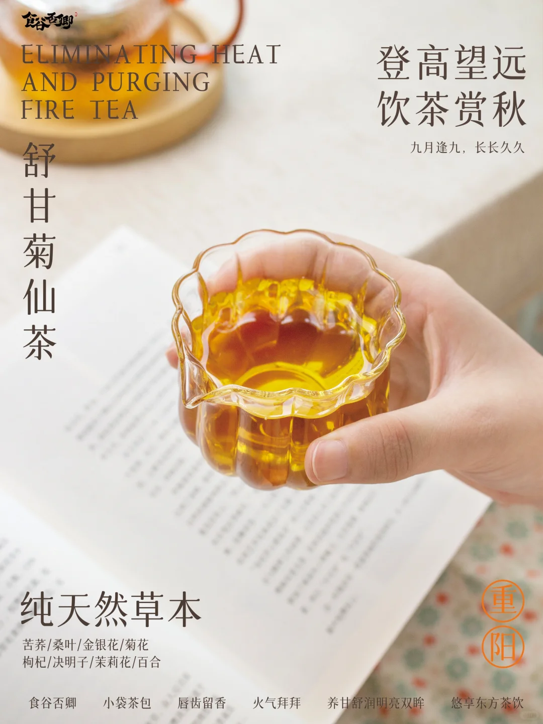 重阳节｜登高望远，饮茶赏秋🍁