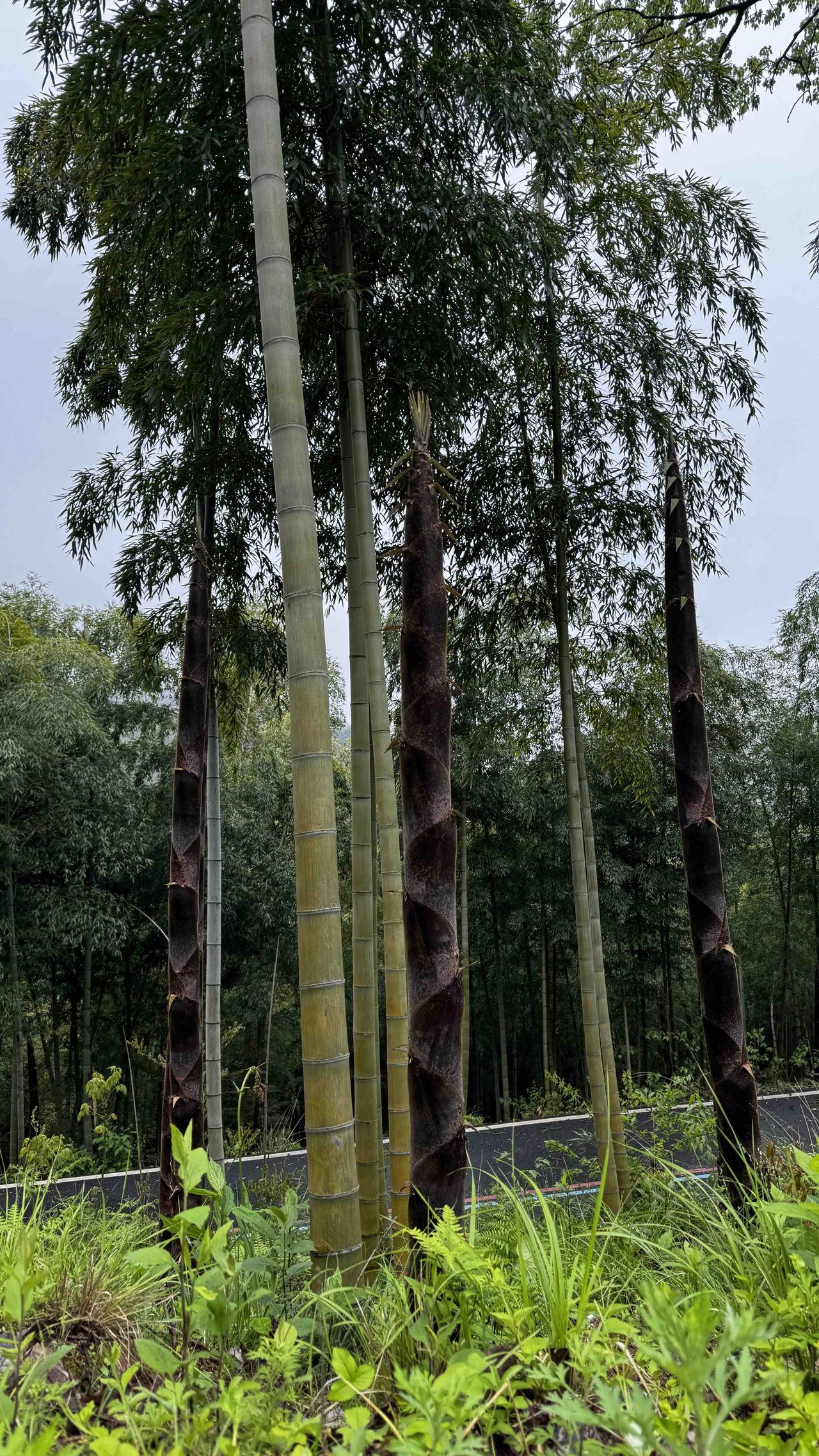 发一张图片，让我猜出你在哪里拍的在哪里？