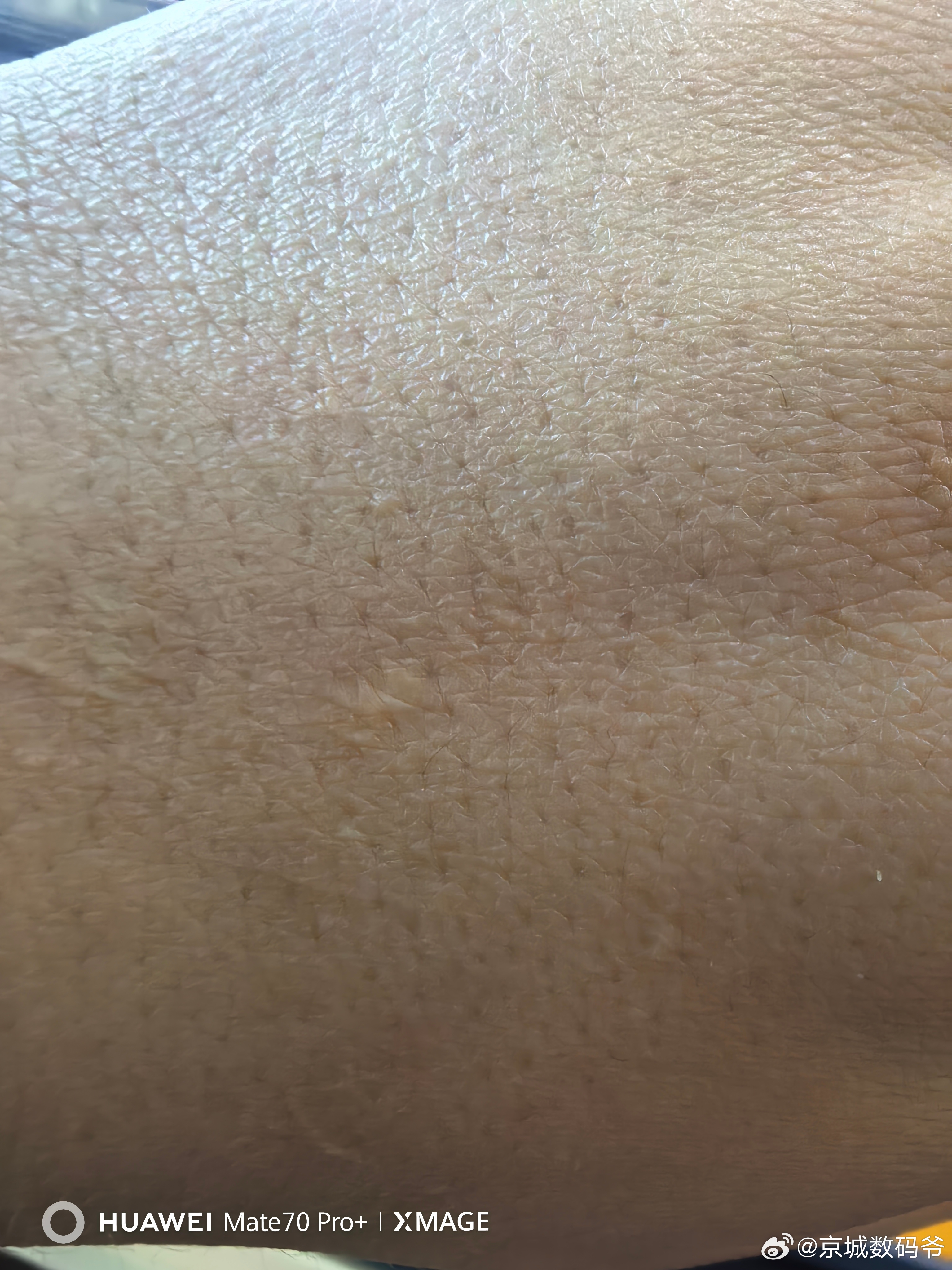有人说红枫偏色，实拍，偏色不偏色，大家说吧！我就不发表言论了！ ​​​