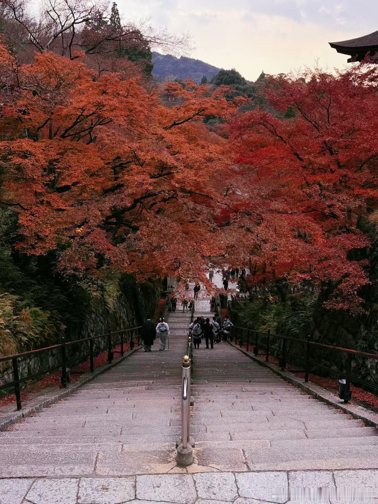 朋友去京都给拍的🍁好看～ 