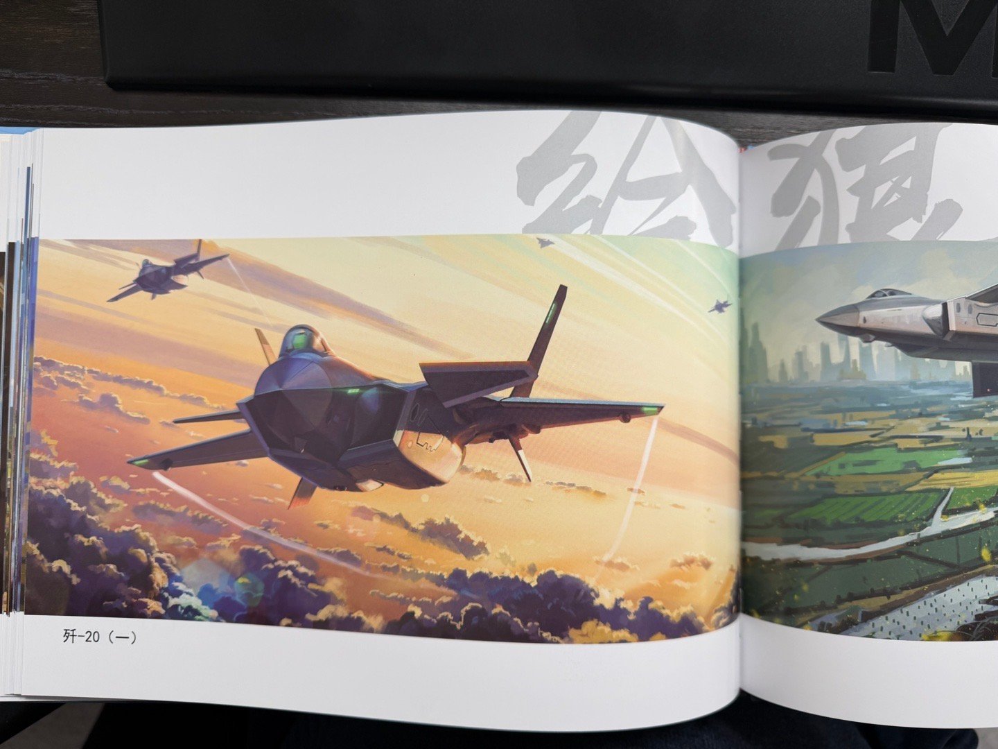 跟手撕狼群 哦不 交换的个人画册到了，欣赏一下 