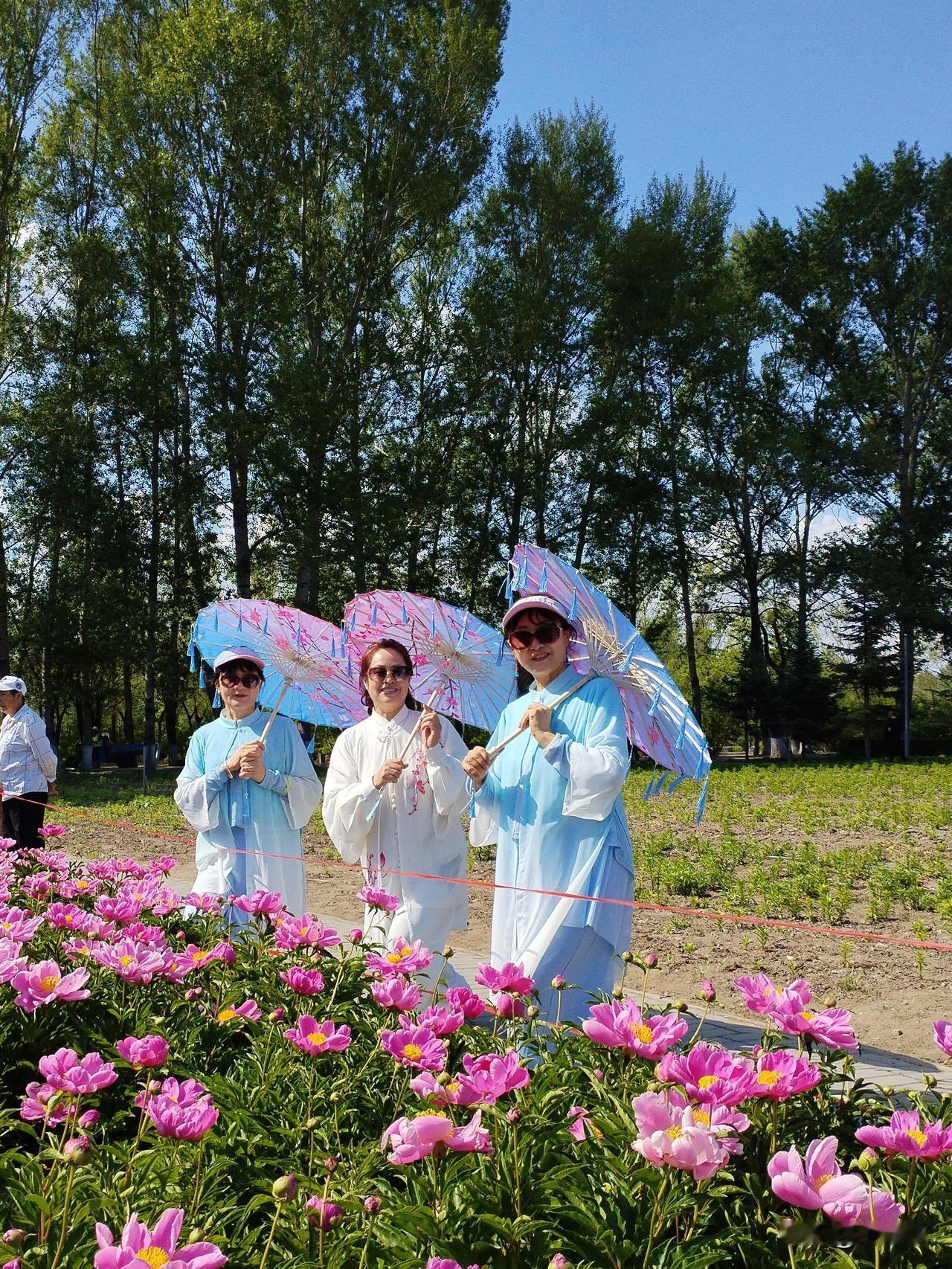 娇颜
华盖霓裳映娇颜，
玉指轻拂嗅花繁。
引来蜜蜂蝴蝶绕，
请续句……
（十里芬