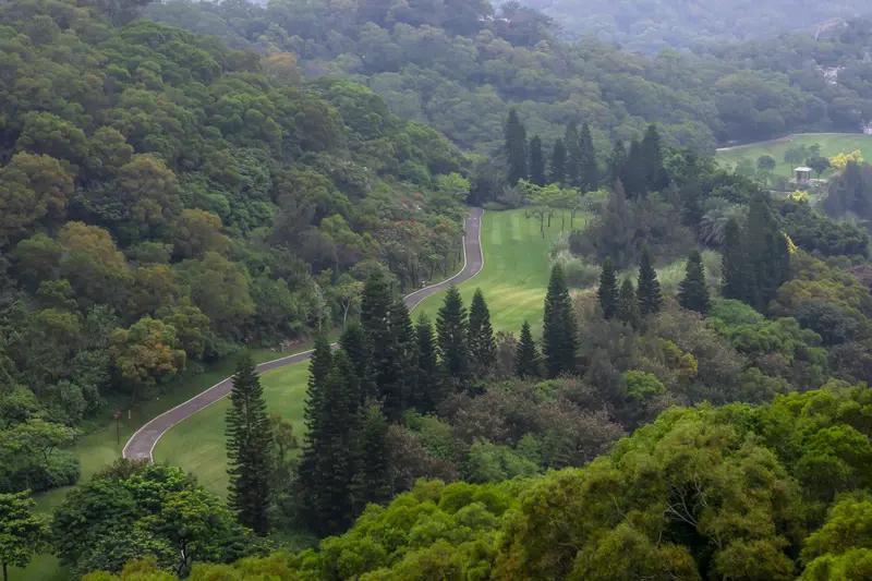 3万人投票打脸“躺平党”：不缺钱，我们反而更想干活？

“中500万就辞职”的深