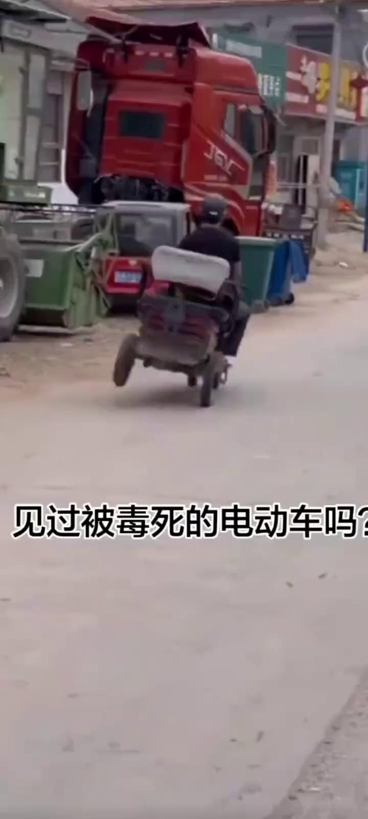 见过被毒死的电动车吗？
见过被毒死的电动车吗？