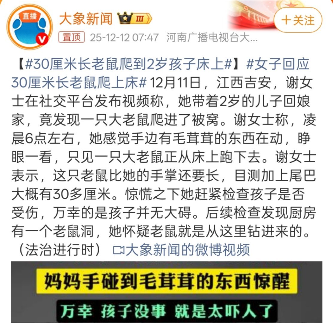 30厘米长老鼠爬到2岁孩子床上30cm长的老鼠？？？如果是我应该就直接吓晕过去了