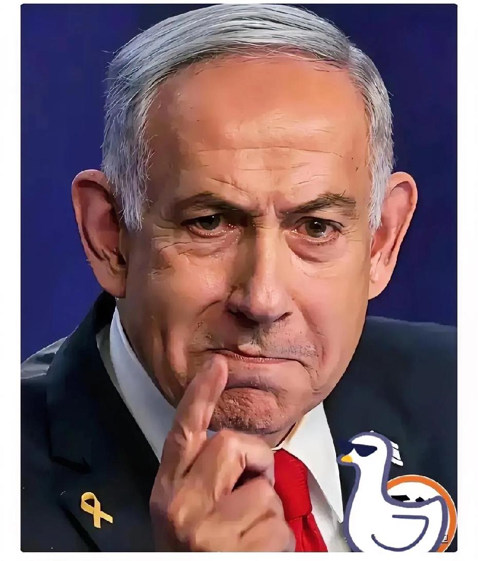 以色列传来新消息

2026年4月8日，以色列总理内塔尼亚胡公开宣布，他支持特朗