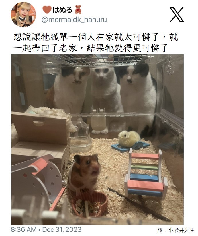 鼠鼠害怕 ​​​