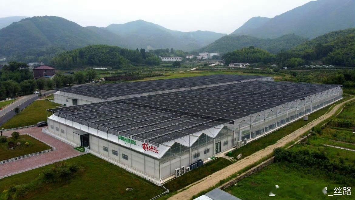 宁波这个植物工厂里每棵菜都有智能管家  纵观四明大地，植物工厂已是“多点开花”。