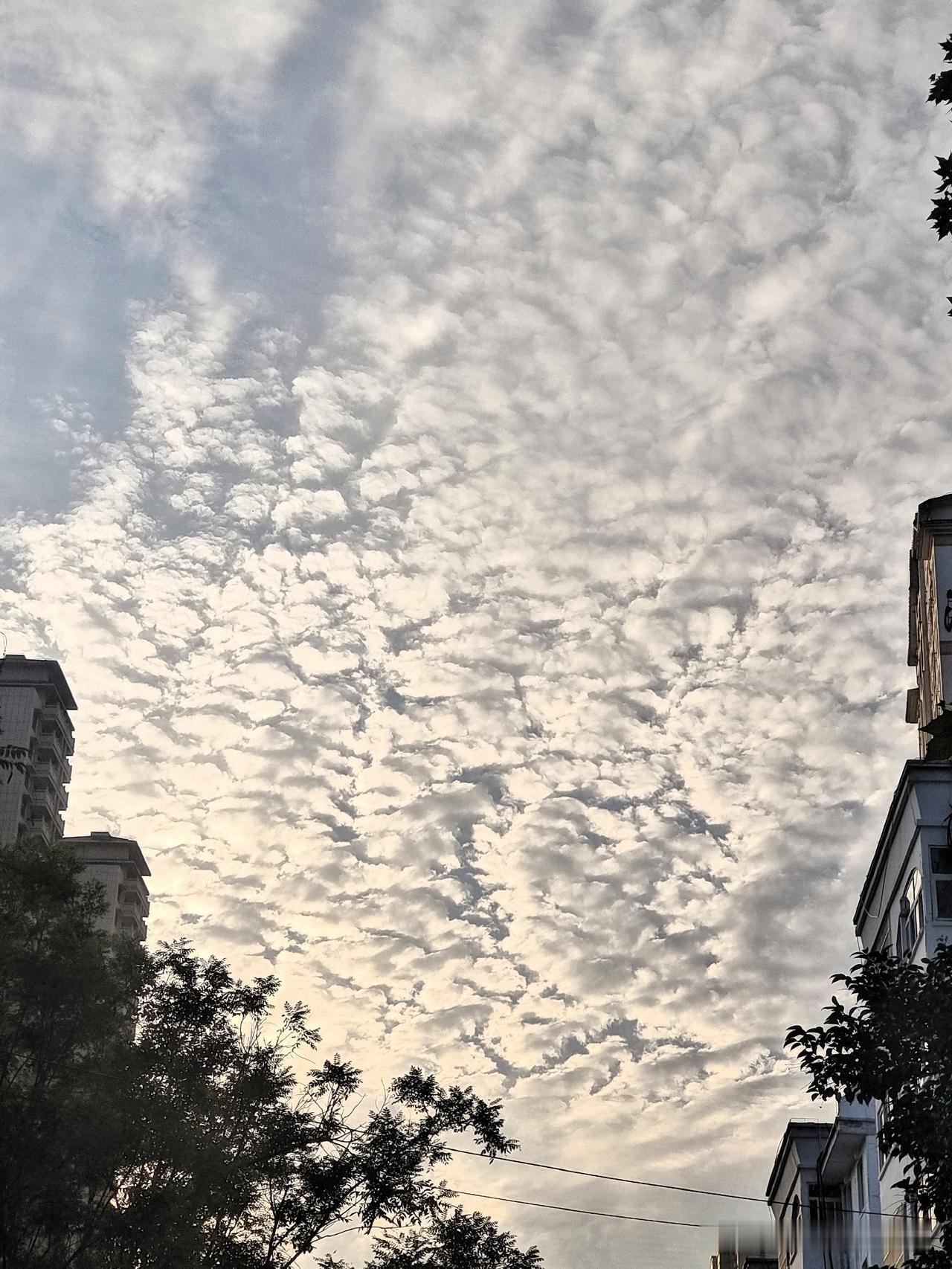 上联：脚踏黄泥地
下联：头顶白云天

终生坚持作品原创的人
图片来源于作者拍摄