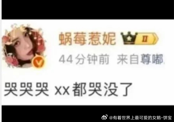 哭哭哭xx都哭没了 