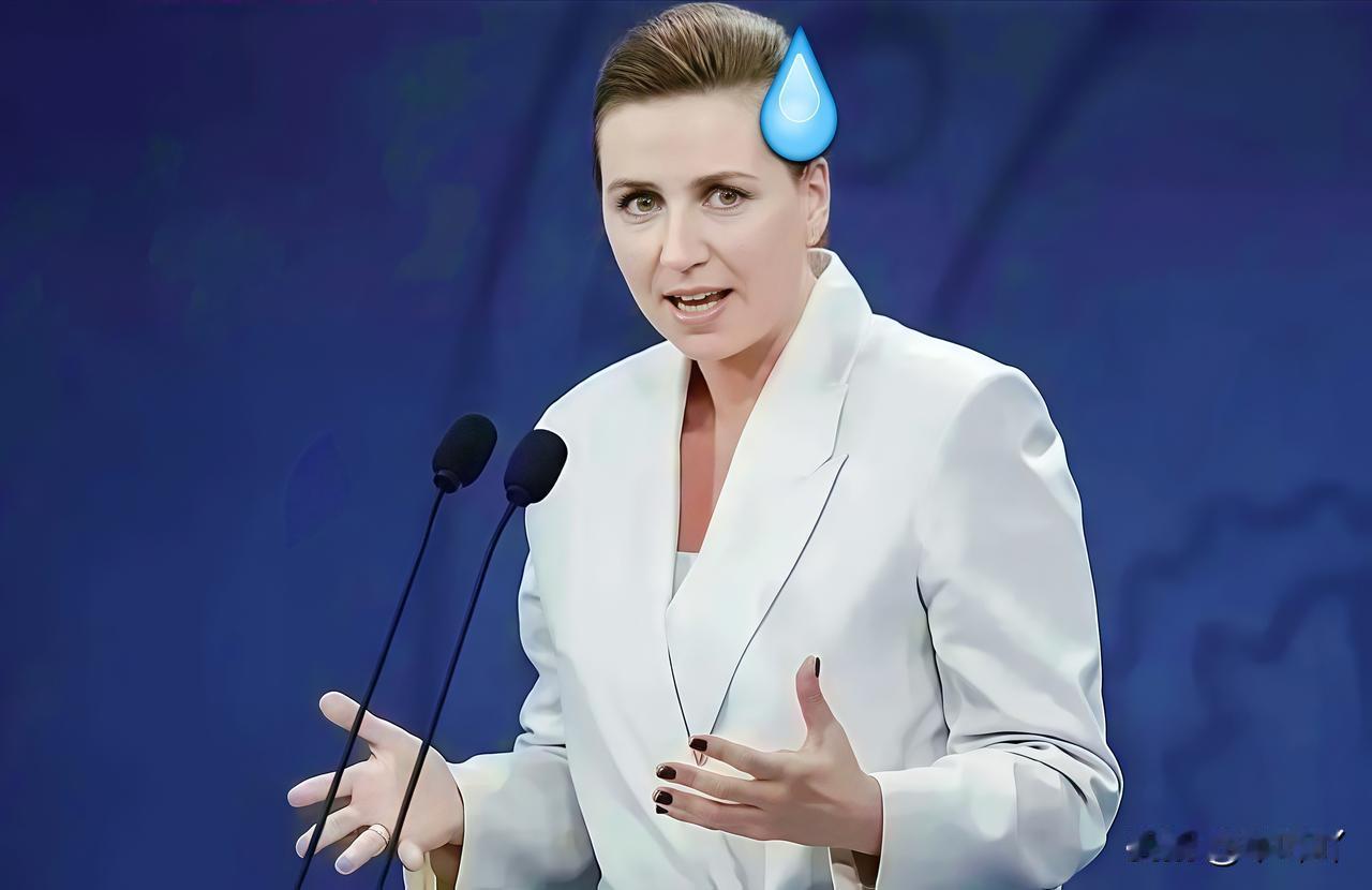 丹麦女首相突然对着咱们放狠话
刚看这事看着莫名其妙
仔细一想其实根本不是冲咱们来