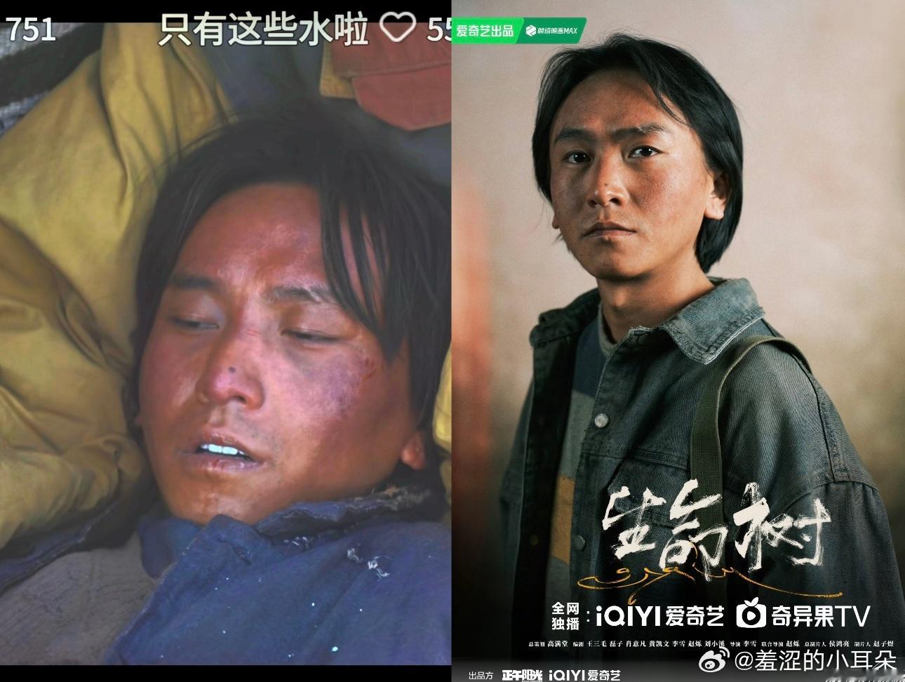 《生命树》里白菊冒死从流沙里救出来的人居然也是后来巡山队的一员 