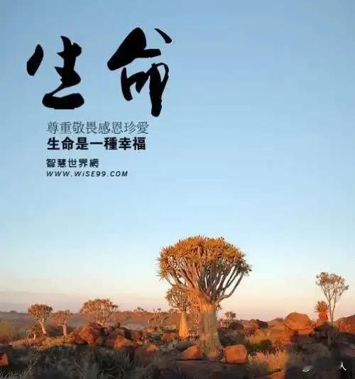 汽车在贬值，房子在贬值，红票票在贬值，学历在贬值，人情在贬值，连结婚生子都在贬值