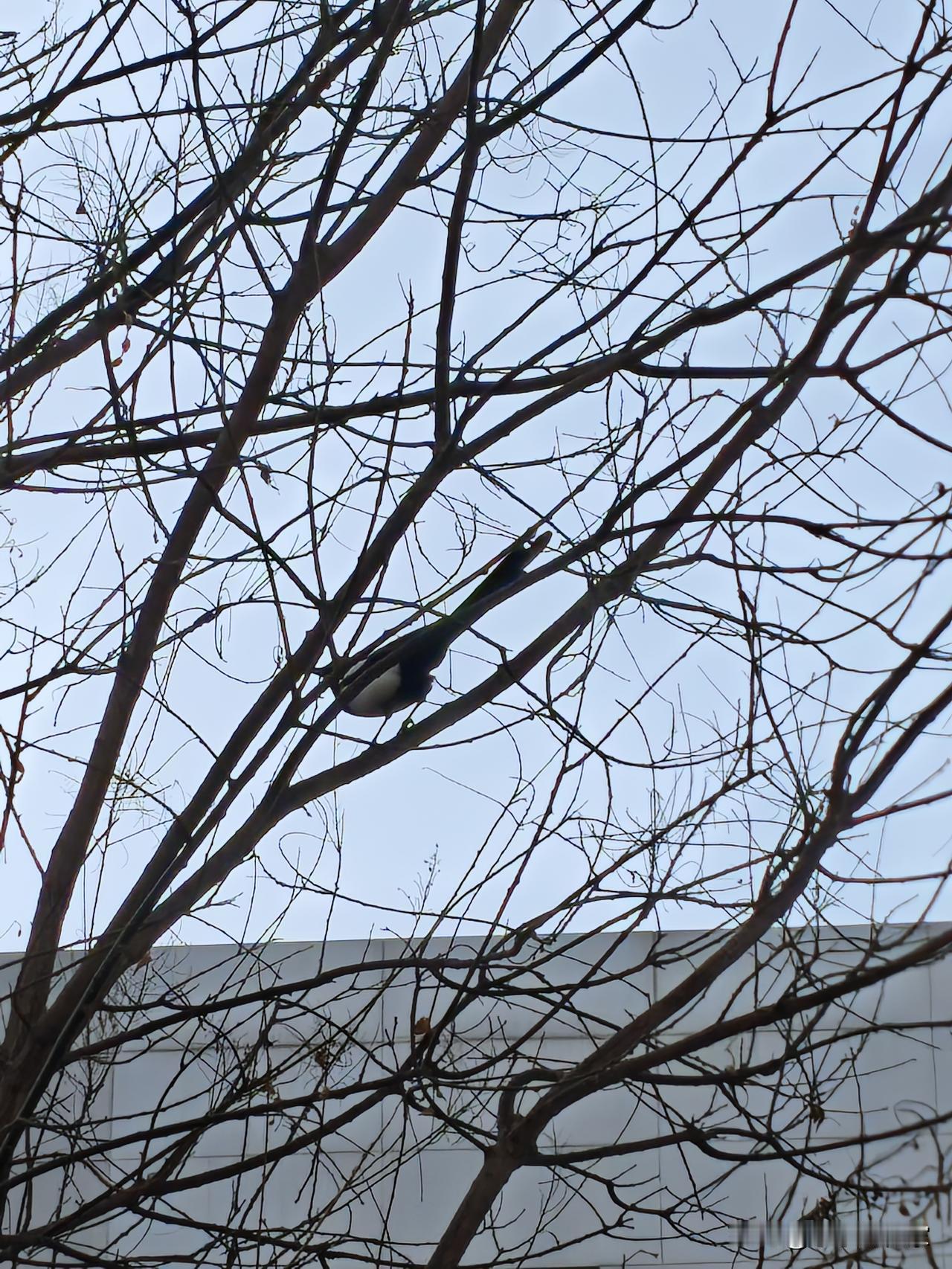 孩子开学校考又砸了，选拔再次失败！
心里实在是堵的慌！
心里一直认为孩子是优秀的