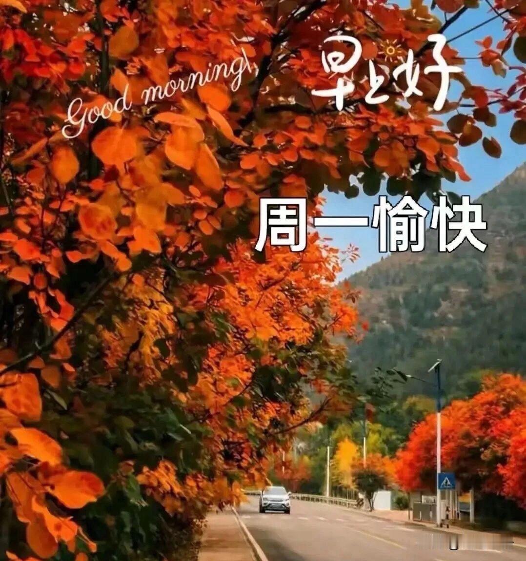 🍂²⁰²⁶/₁₀.₁₉ ᵕ̈ 🌞新周早安｜沐浴晨光☕️🍒🍑
晓露沾秋树，