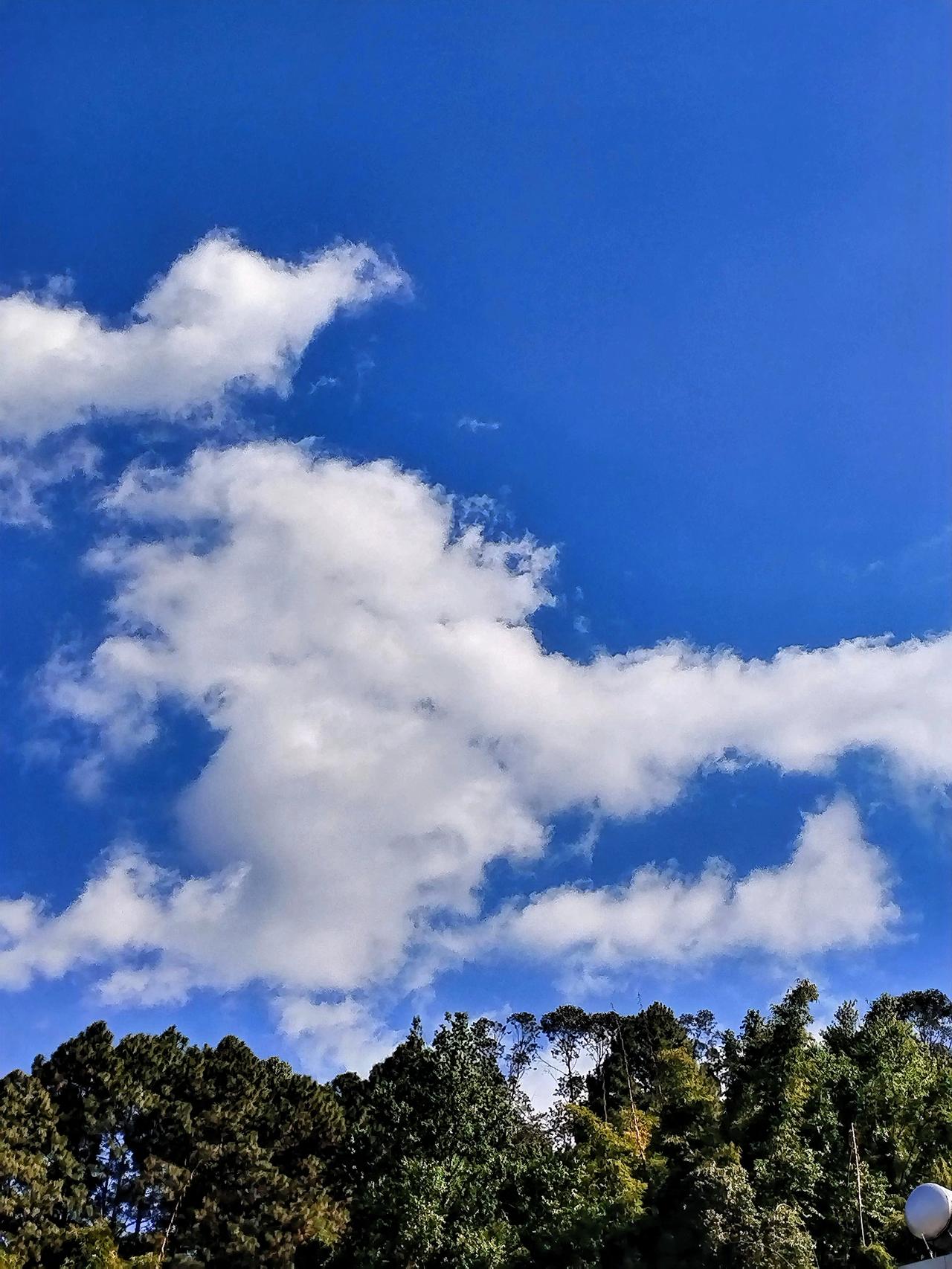 蓝天白云，绿树成荫，大自然的美丽画卷。走在这如画的风景里，脚下的小径铺满了细碎的