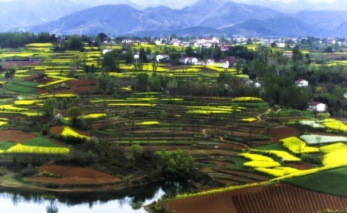 行走在汉中的春天，路过那种春天的美，路过这种地方的美，路过这种生活之美…… 