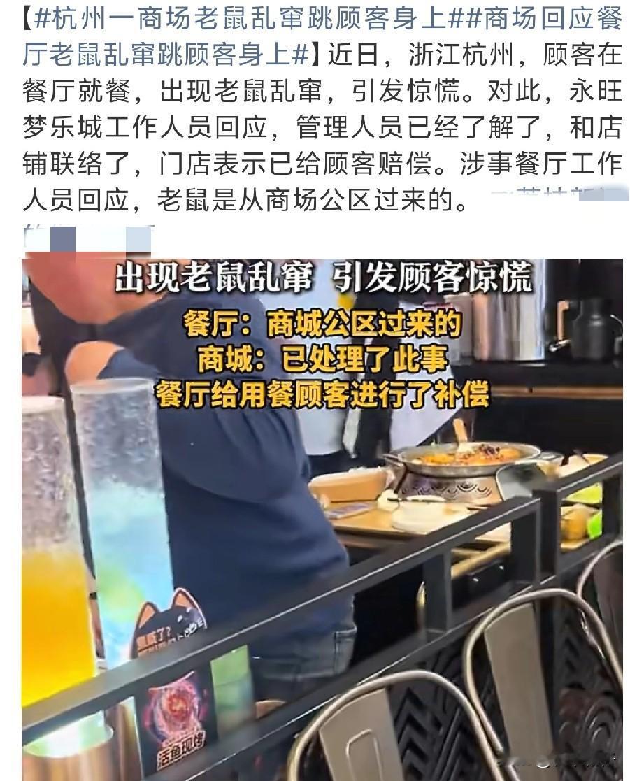 2026年2月初，杭州永旺梦乐城商场内一家餐厅发生老鼠窜逃事件。据现场描述，多只