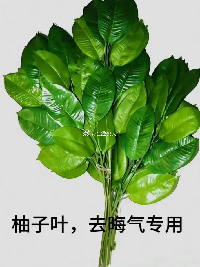 柚子叶去除晦气 霉运退散 