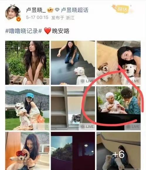卢昱晓道歉 为屏摄道的歉！不管这个道歉写得怎么样，做为一名演员，在这个事情上面犯