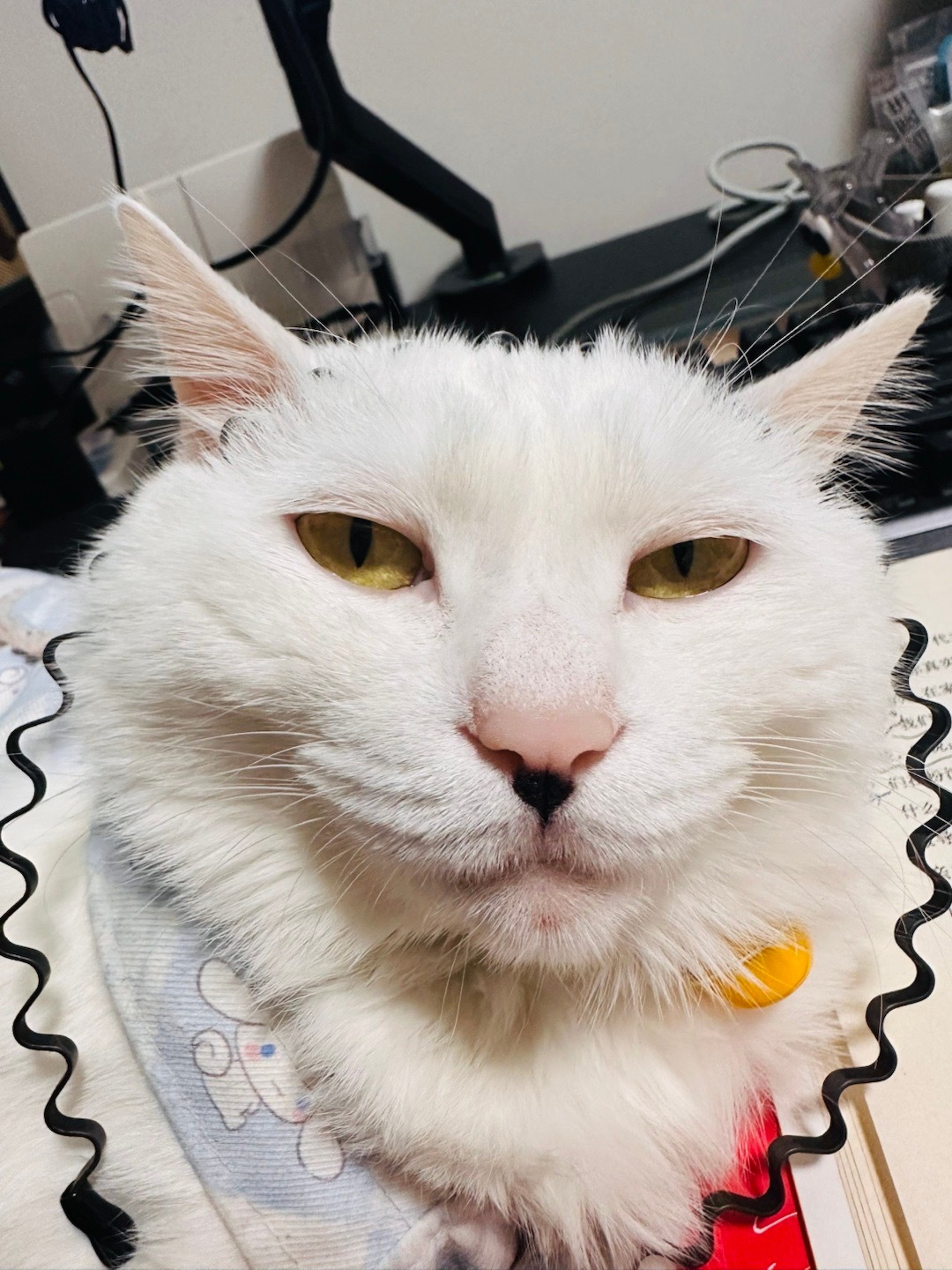 脑子说：你本来有更好的选择！心说：不，发生的才是最好的选择！ 